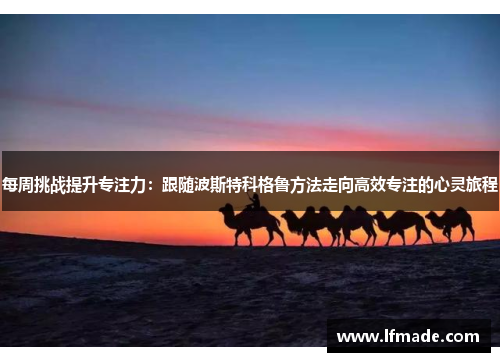 每周挑战提升专注力：跟随波斯特科格鲁方法走向高效专注的心灵旅程