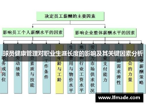 球员健康管理对职业生涯长度的影响及其关键因素分析