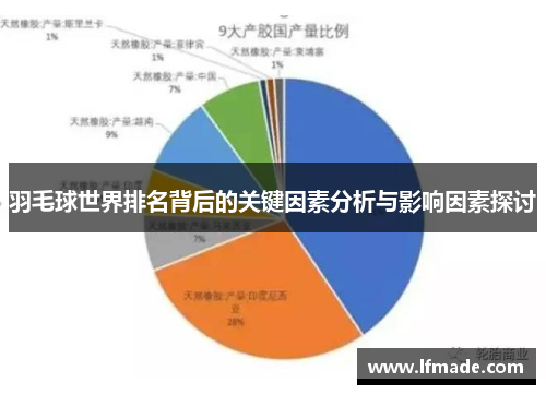 羽毛球世界排名背后的关键因素分析与影响因素探讨