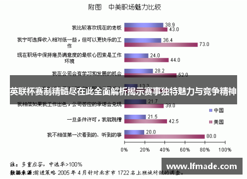英联杯赛制精髓尽在此全面解析揭示赛事独特魅力与竞争精神